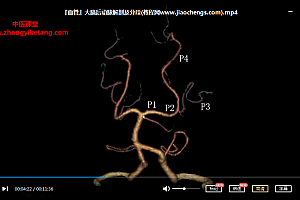 影像三人行神经系统解剖进阶课七大模块111集医学影像学课程百度云网盘下载学习