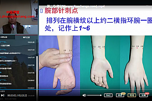 张俊道医针灸气脉疗法两套视频课程百度网盘下载学习