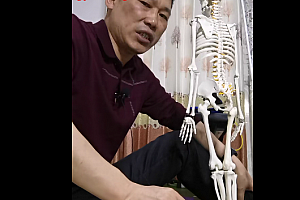 黄远升结构还原祛痛术视频课程20集颈背疼痛肩关节疼痛腰痛思路讲解百度网盘下载学习
