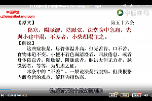王宁元汉方医家解读伤寒论系列视频课程33集百度网盘下载学习