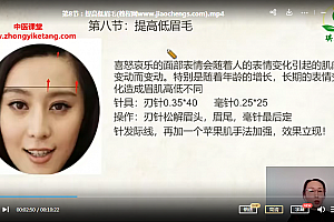 2022年10月王阿萍针截逆龄美雕视频课程26集百度网盘下载学习