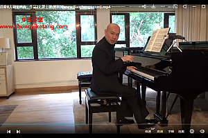 卢嘉钢琴博士贝多芬奏鸣曲视频课程百度网盘下载学习